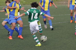 开云体育地址-国际足球协会推动足球全民普及，青少年参与度飙升，各国青少年足球注册人口