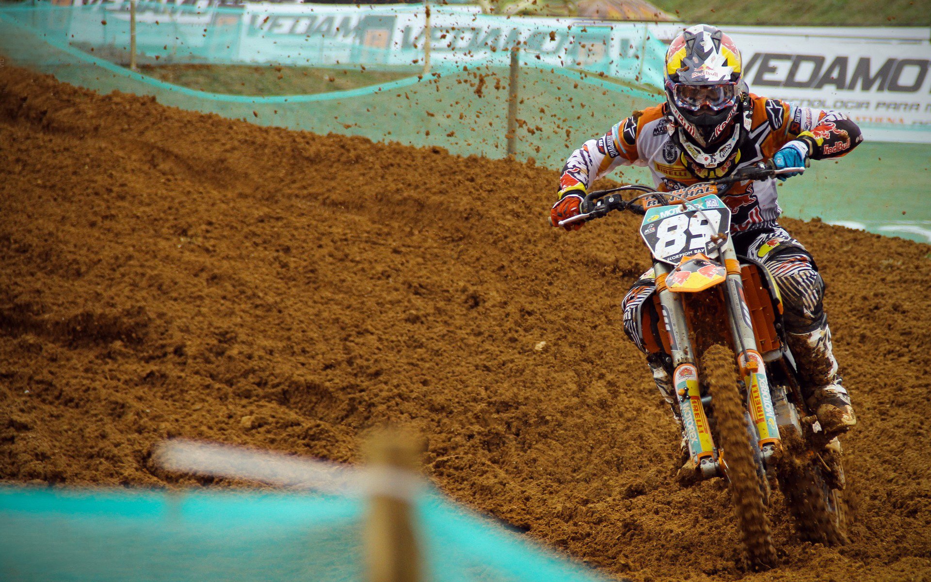 马里特·斯滕伯根100米自由泳赛道亮点，斯科特100米自由泳